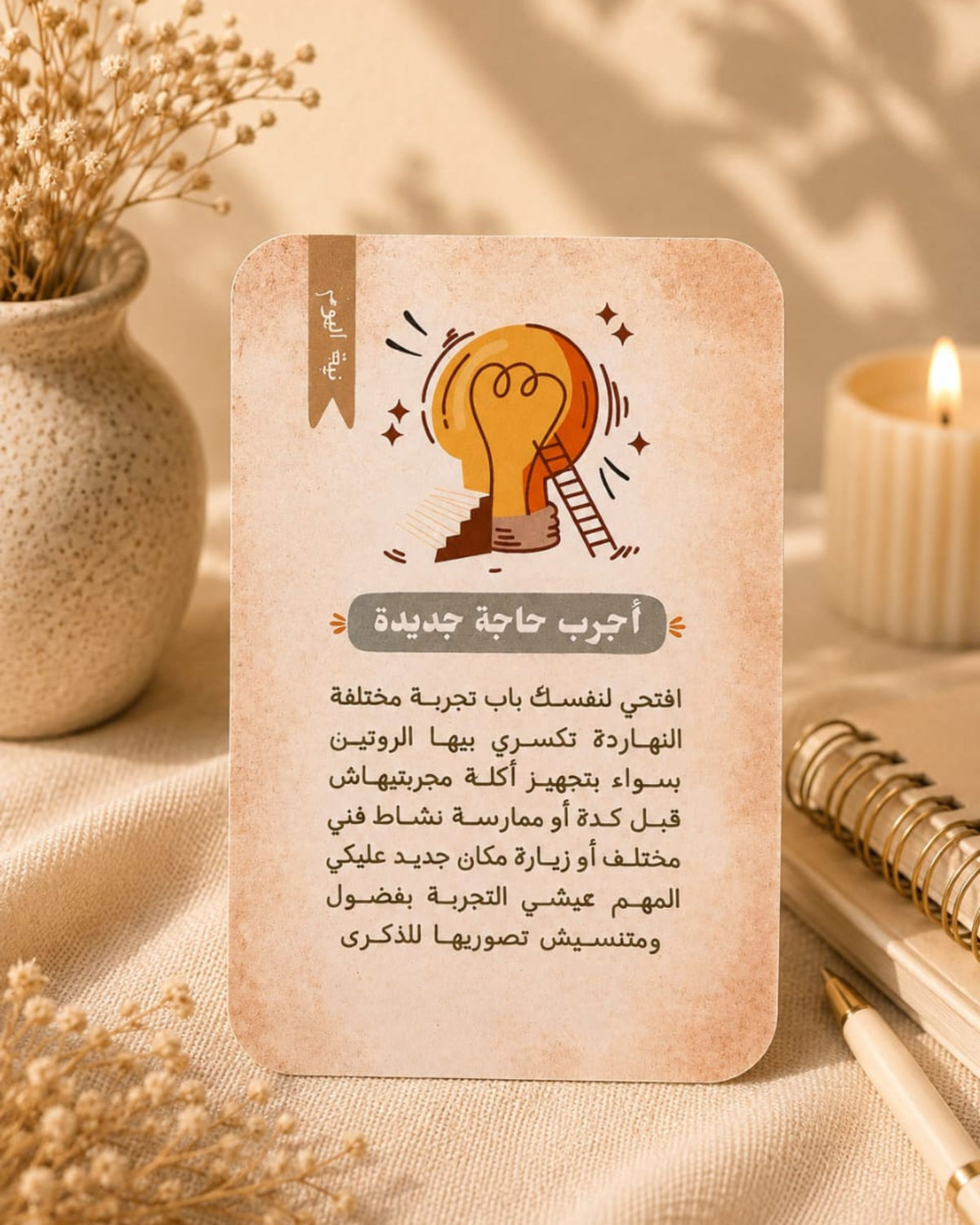 بوكس نيتك إيه النهارده ؟