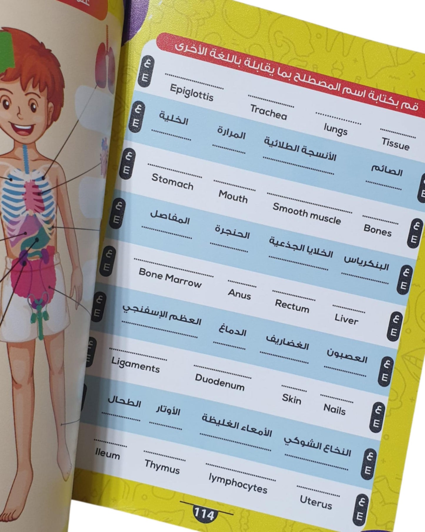 أسرار جسم الإنسان (الموسوعة العلمية للأطفال)