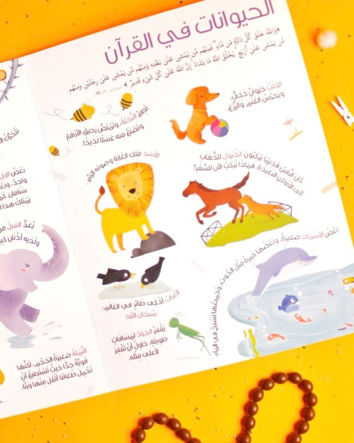 كتاب كلماتي الأولى من القرآن الكريم