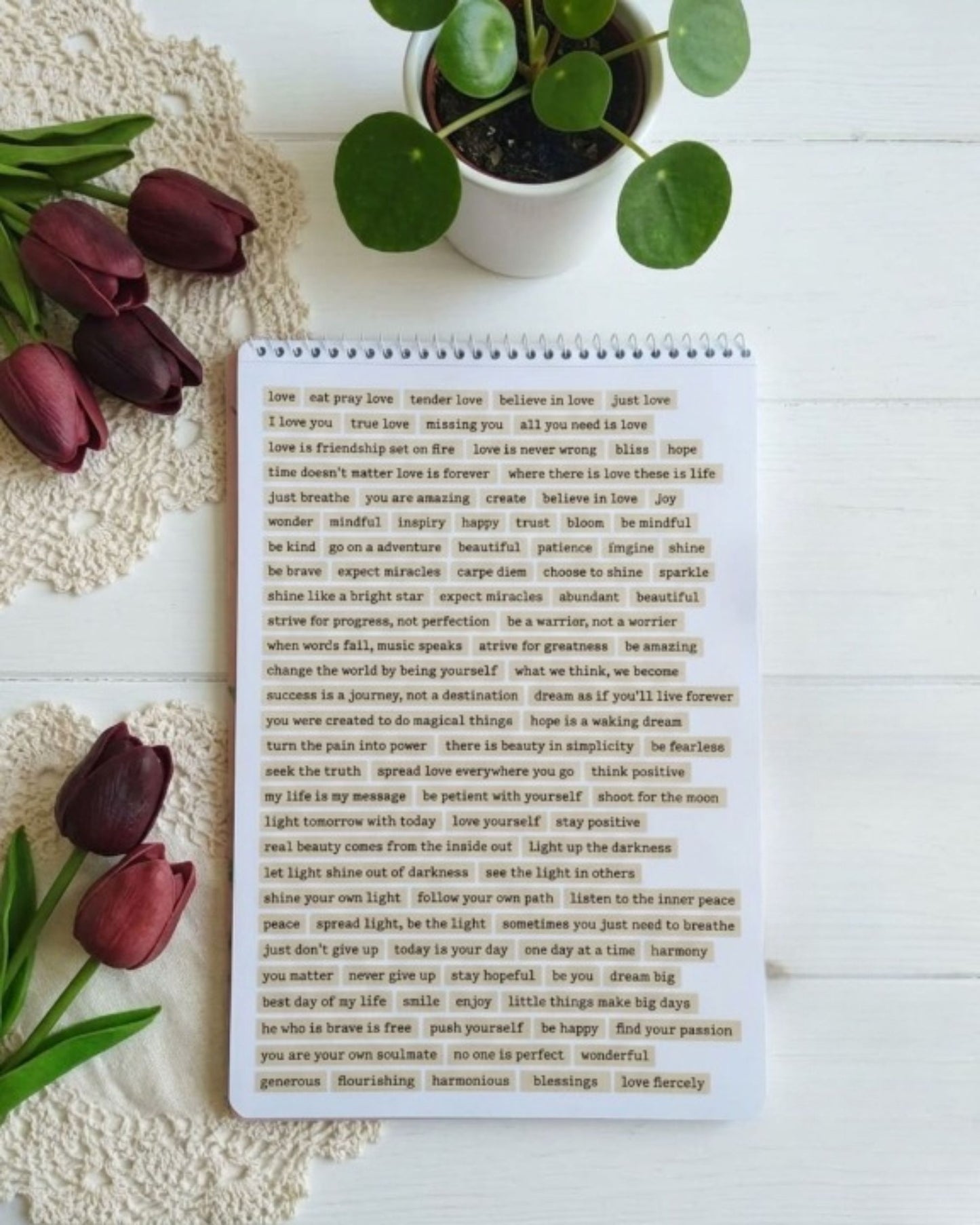 Words & Phrases Book – كتاب استيكرز جمل وعبارات