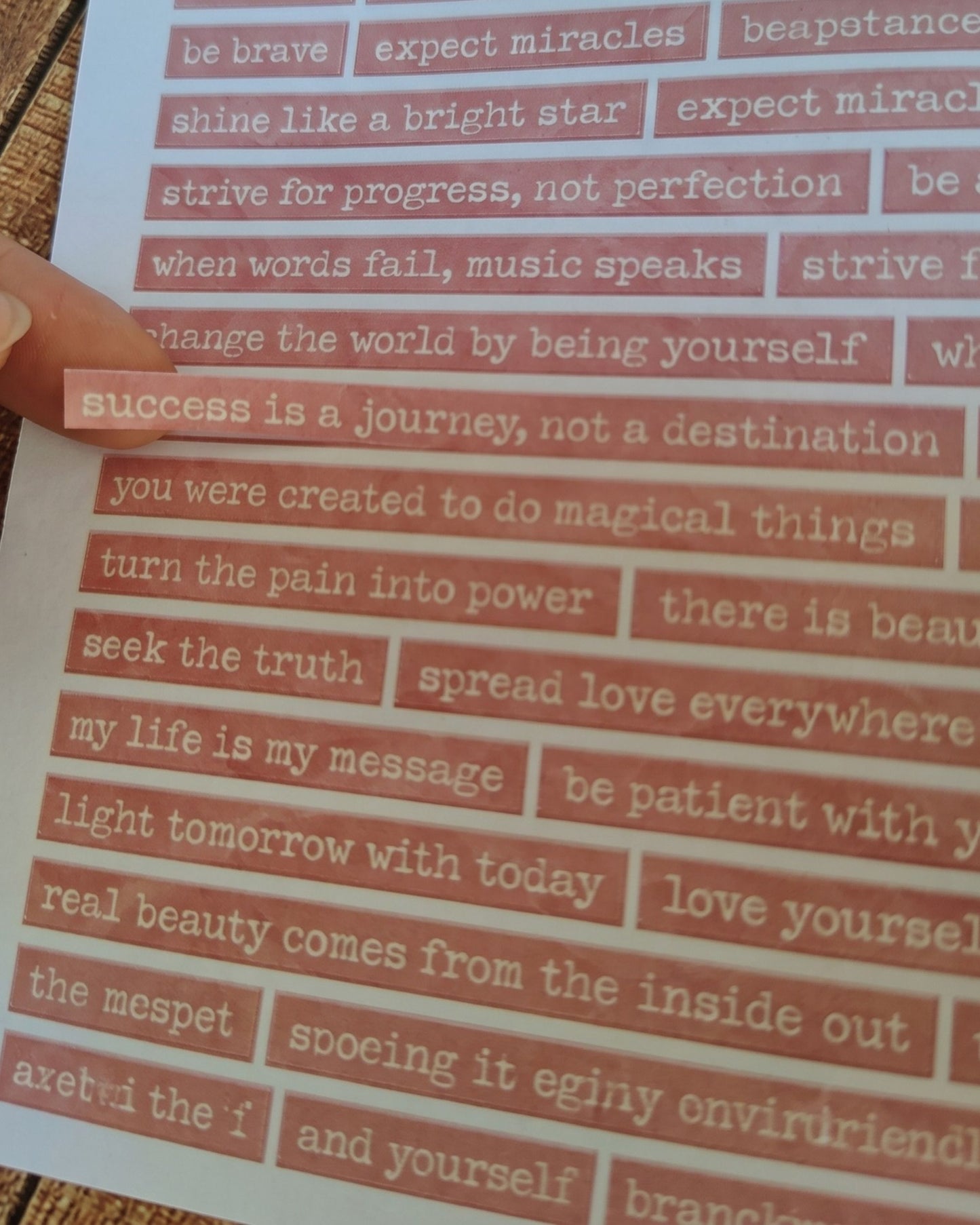 Words & Phrases Book – كتاب استيكرز جمل وعبارات