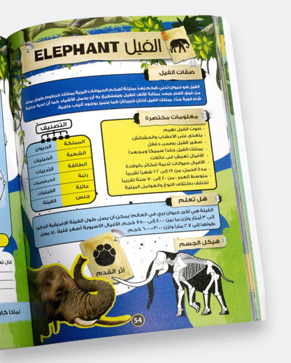 قصص الحيوان في القران الكريم (الموسوعة العلمية للأطفال)